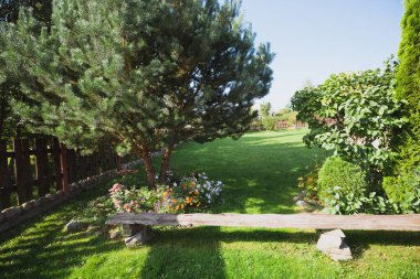 Yazın arka bahçedeki kütük bankı - yeşil çimenler ve etraftaki çalılar - peyzaj