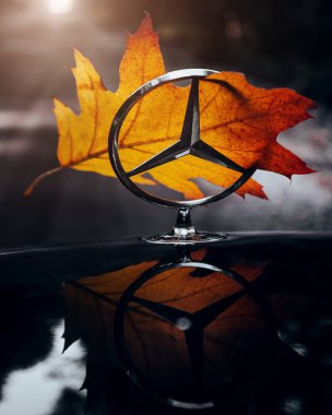 Minsk, Belarus - 24 Eylül 2020: Sarı sonbahar yaprağı Mercedes 'in kaputuna takıldı - üç ışınlı yıldız ve sonbahar havası