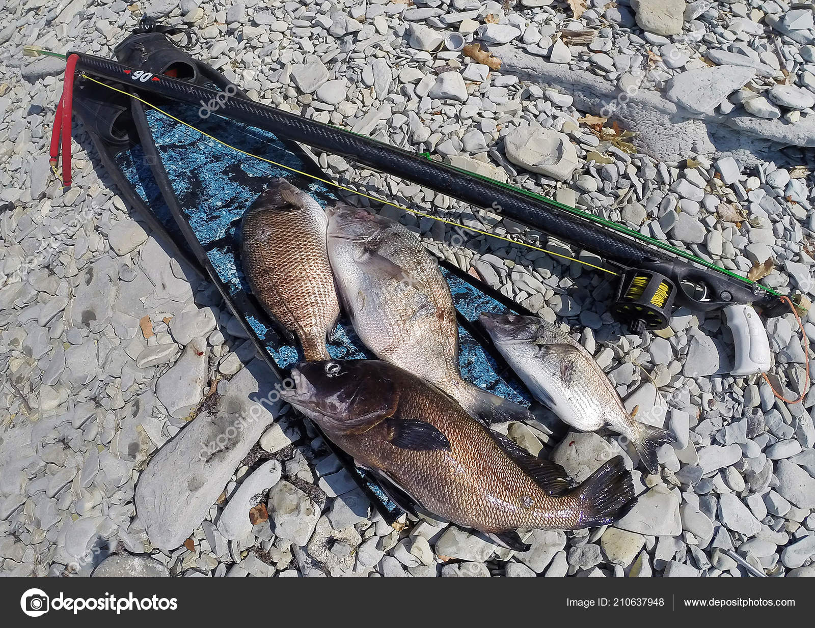 fish hunting equipment