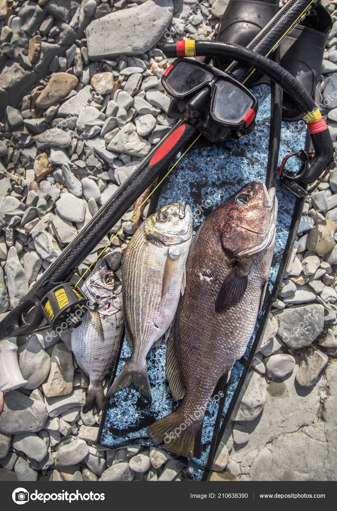 fish hunting equipment