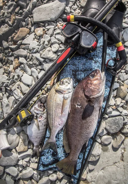 海で狩りをした後の水中ハンターの魚や装備の写真 — ストック写真