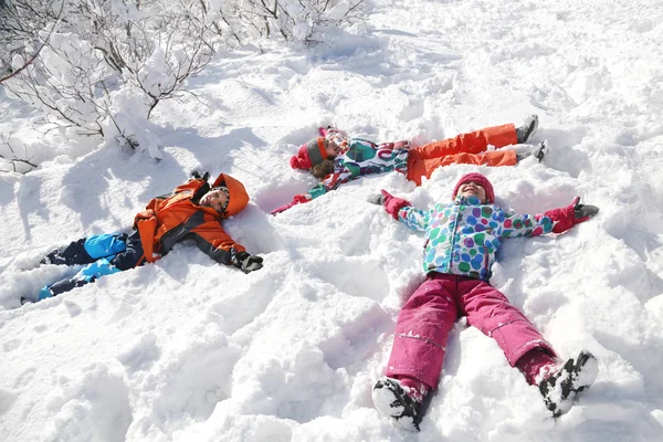 Группа Детей Играющих Снегу Зимой — стоковое фото