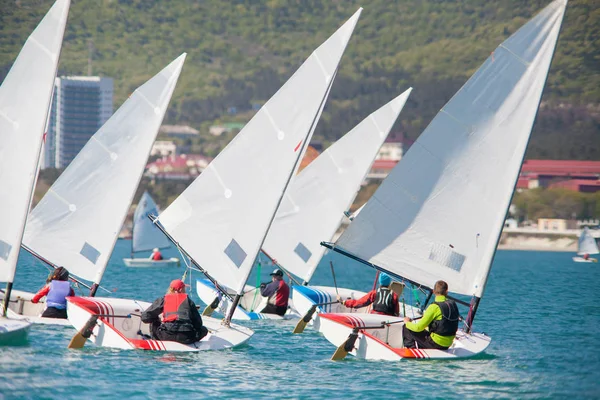 Segelregatta auf hoher See — Stockfoto