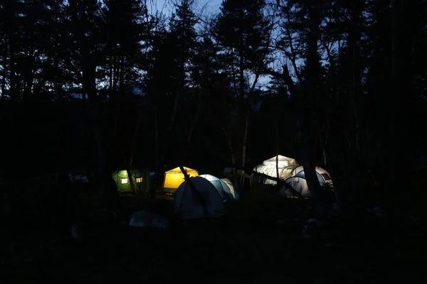 Τουριστικό Στρατόπεδο Σκηνή Στο Δάσος Νύχτα — Φωτογραφία Αρχείου