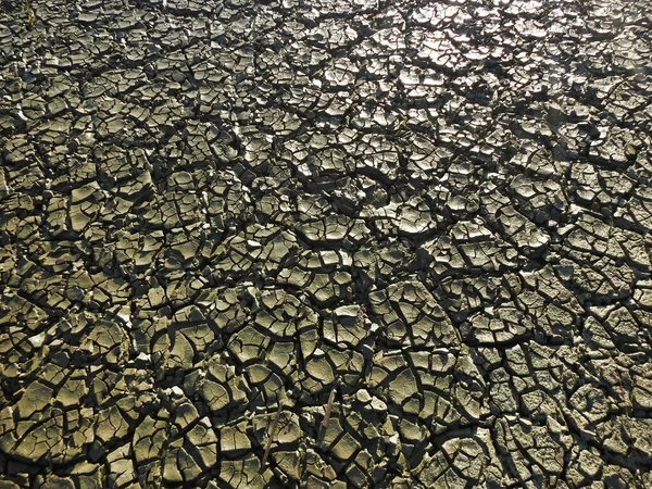 Vista Fundo Secado Reservatório Coberto Fendas Catastrofia Ecológica — Fotografia de Stock