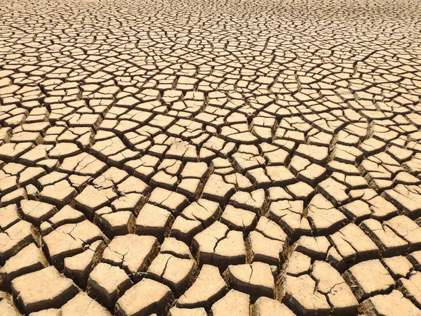 Vista Fundo Secado Reservatório Coberto Fendas Catastrofia Ecológica — Fotografia de Stock