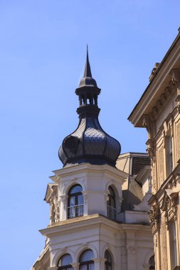 Viyana binada tipik kubbe görünümü