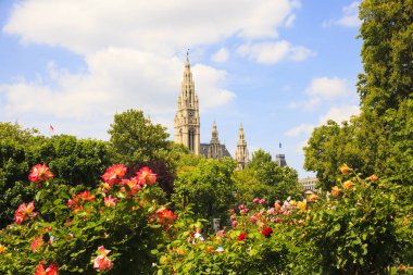 Viyana 'daki St. Stephen Katedrali' nin çan kulesinin manzarası.