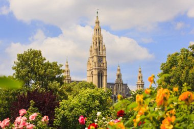 Viyana 'daki St. Stephen Katedrali' nin çan kulesinin manzarası.