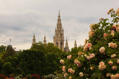 Viyana 'daki St. Stephen Katedrali' nin çan kulesinin manzarası.