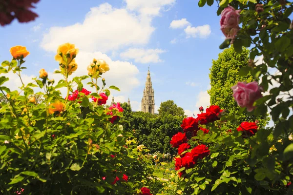 Vista Campanário Catedral Santo Estêvão Viena — Fotografia de Stock