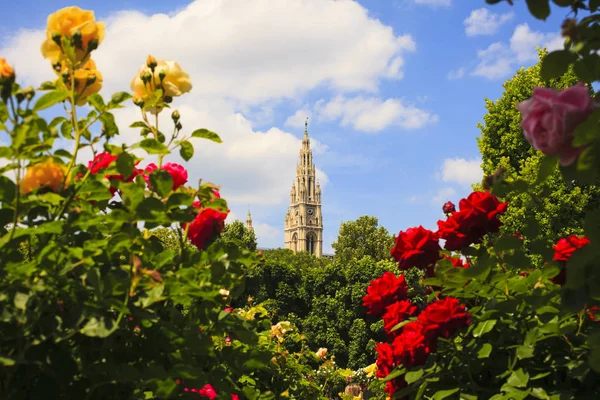 Pohled Zvonici Katedrály Štěpána Vídeň — Stock fotografie