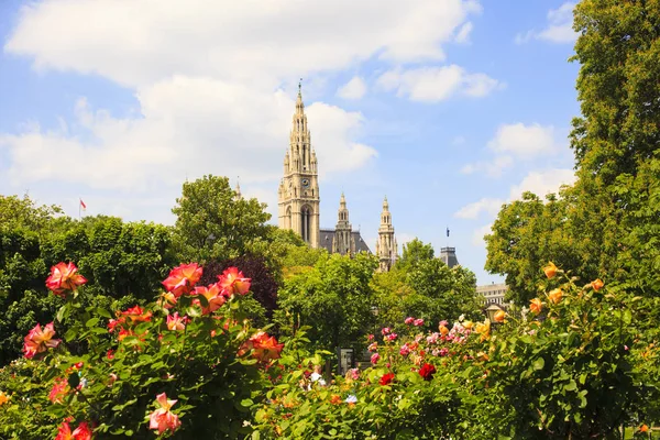 Viyana 'daki St. Stephen Katedrali' nin çan kulesinin manzarası.