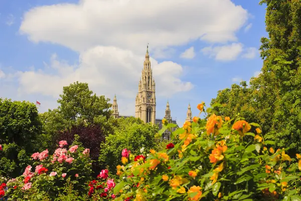 Viyana 'daki St. Stephen Katedrali' nin çan kulesinin manzarası.