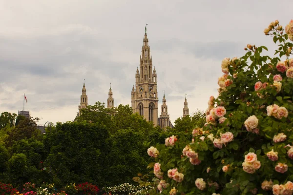 Viyana 'daki St. Stephen Katedrali' nin çan kulesinin manzarası.
