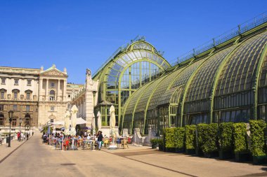 Vienna, Avusturya - Mayıs, 22: Glasshouse görünümünü Palm house veya kelebek ev Schonbrunn park 22 Mayıs 2018 üzerinde denir