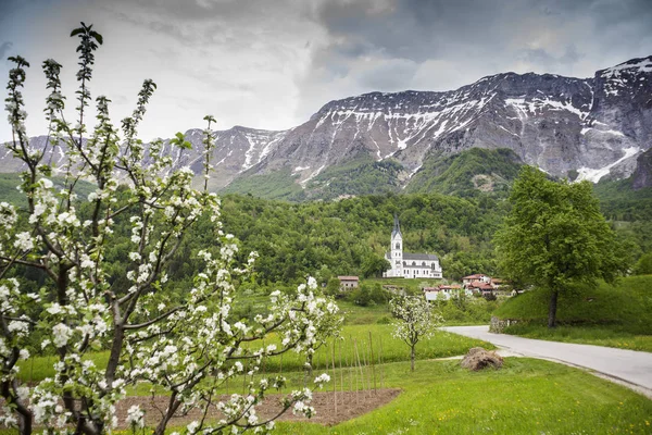 风景秀丽的克恩山在斯洛文尼亚的看法 — 图库照片