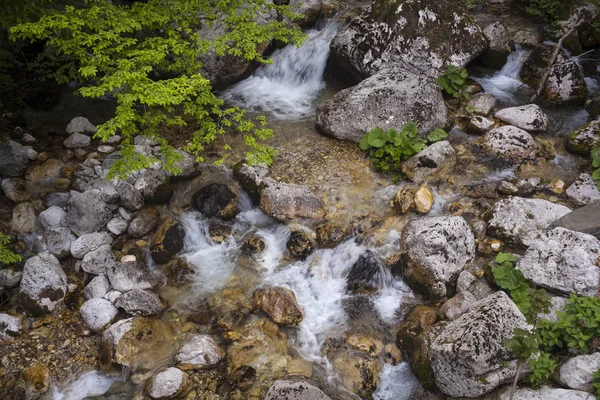 View Little Stream Slovenia Countryside — Stock Photo, Image