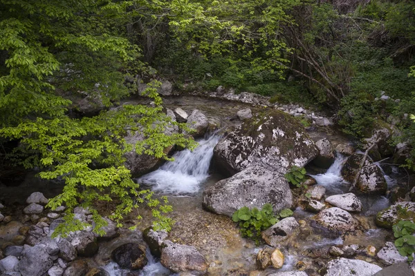 Uitzicht Riviertje Het Platteland Van Slovenië — Stockfoto