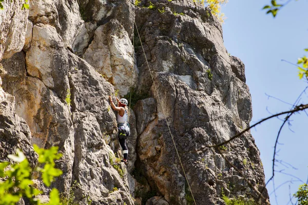 Doberdo Italien April Blick Auf Eine Leidenschaftliche Kletterin Doberdfelsen April — Stockfoto