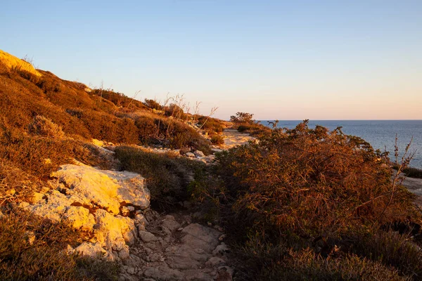 Lampedusa bitki yaz sezonu
