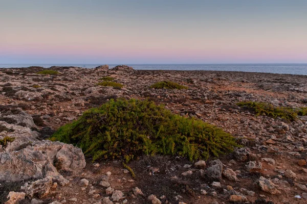 Côte rocheuse de Lampedusa — Photo