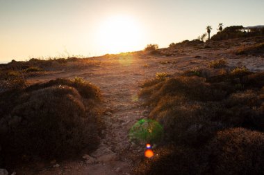  Lampedusa Akdeniz bitki örtüsü görünümünü