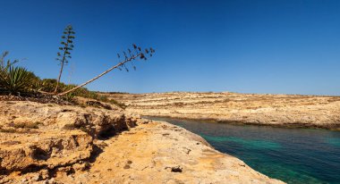 Cala Greca görünümünü 