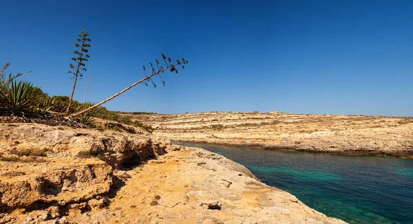 Widok na Cala Greca — Zdjęcie stockowe