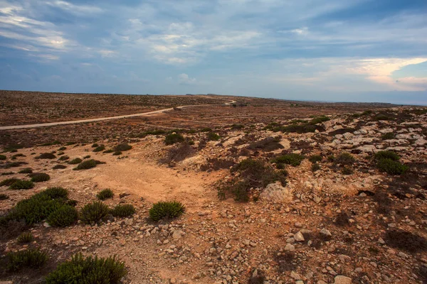 Lampedusa kırsal görünümü — Stok fotoğraf