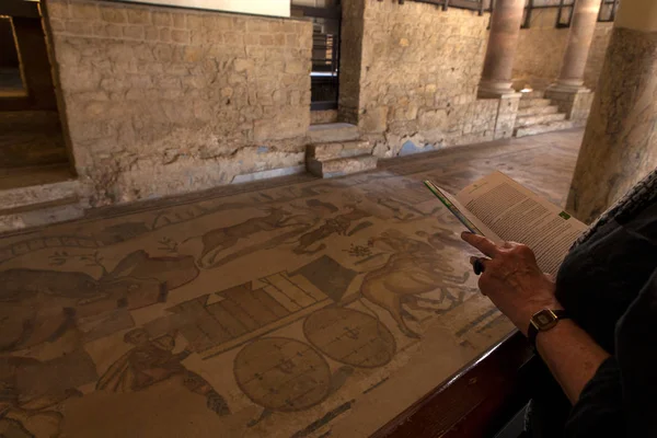 Turista con mappa che guarda i mosaici nella Villa Romana del Cas — Foto Stock