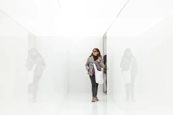 Instalação por Ryoji Ikeda intitulado espectros III, expostos no — Fotografia de Stock