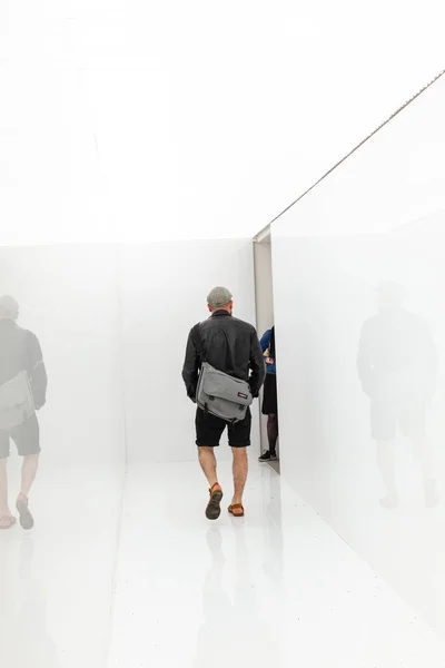 Рэдзи Икеда под названием "Спектр III", выставленный на выставке — стоковое фото