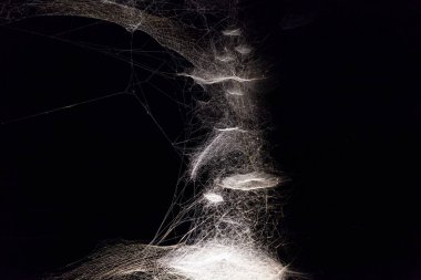 Kurulum: Tomas Saraceno, Venedik Bienali 2019