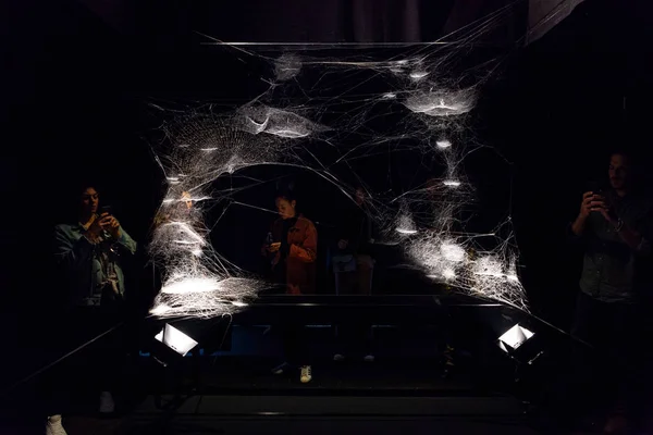 Kurulum: Tomas Saraceno, Venedik Bienali 2019 — Stok fotoğraf