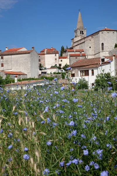 Blick auf das Tal - Ballen in Istrien. Kroatien — Stockfoto