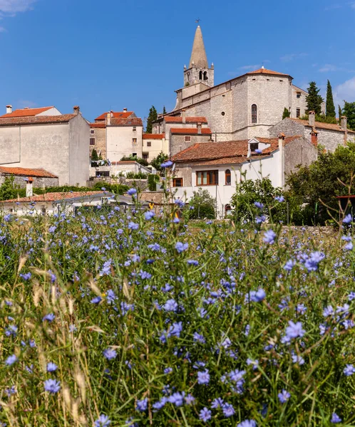 Valle Görünümü - Bale Istria içinde. Hırvatistan — Stok fotoğraf