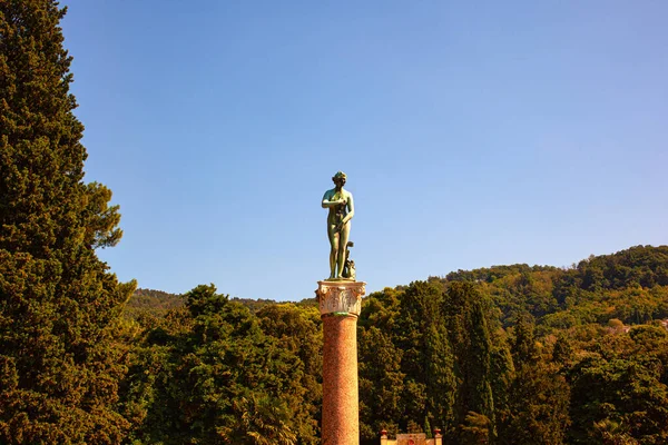 Pemandangan Medium Venere Patung Perunggu Taman Miramare Trieste Italia — Stok Foto