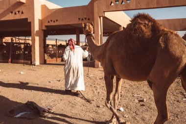 Al Ain, Emirates yerel deve pazarda