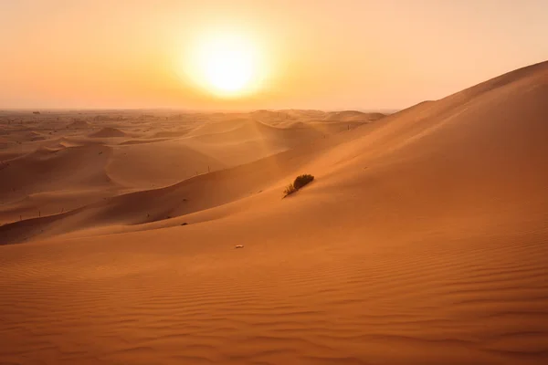 Ηλιοβασίλεμα Στο Την Έρημο Του Khatim Έξω Από Αμπού Ντάμπι — Φωτογραφία Αρχείου