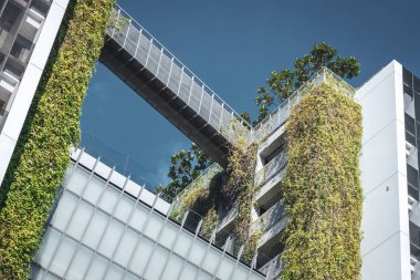 Singapur şehrinin modern mimarisi