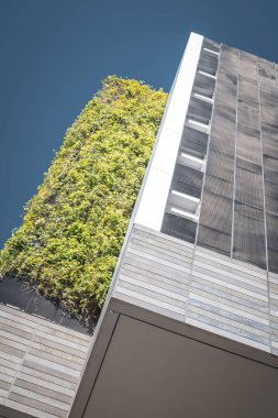 Singapur şehrinin modern mimarisi