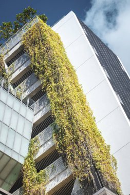 Singapur şehrinin modern mimarisi