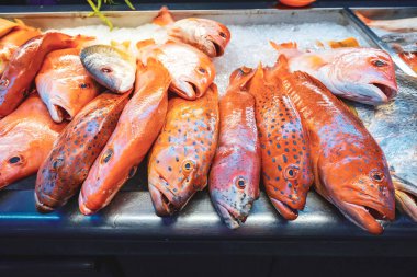 Kuching/Sarawak/Malezya/Haziran 2014: yerel sokak yemekleri Mar