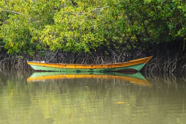 Borneo/Sarawak/Malezya/Haziran 2014: RIV boyunca macera