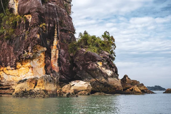 SARAWAK / MALAYSIA / GIUGNO 2014: Natura selvaggia nel Bako nazionale — Foto Stock