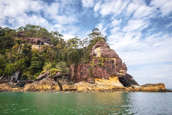 Sarawak/Maleisië/juni 2014: wilde natuur in de nationale Bogaert — Stockfoto