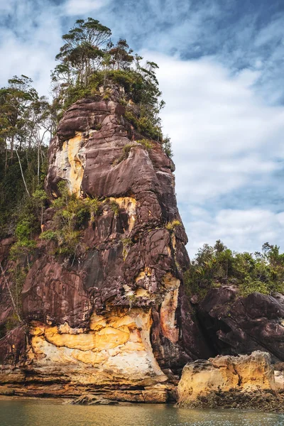 SARAWAK / MALAYSIA / GIUGNO 2014: Natura selvaggia nel Bako nazionale — Foto Stock