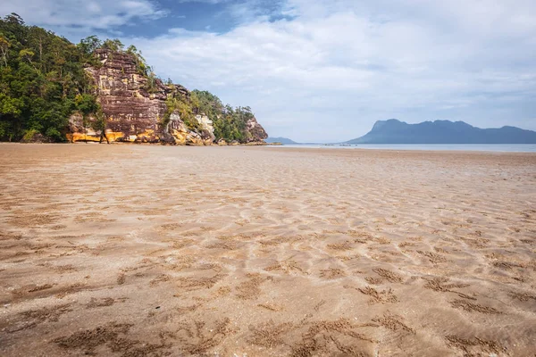 SARAWAK / MALAYSIA / GIUGNO 2014: Natura selvaggia nel Bako nazionale — Foto Stock