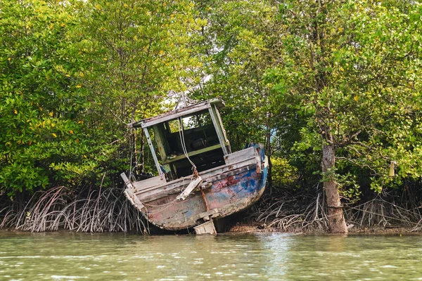 BORNEO / SARAWAK / MALAYSIA / GIUGNO 2014: Avventura lungo il fiume — Foto Stock